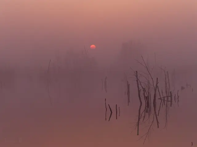 Foto: Eigenes Bild TB