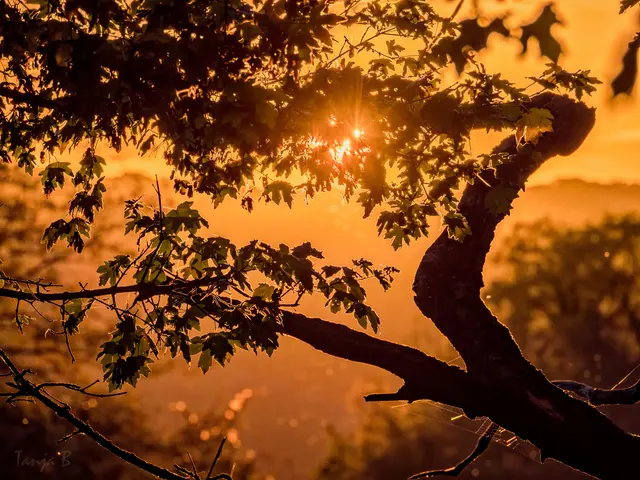 Foto: Eigenes Bild TB