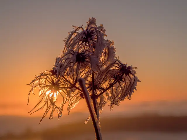 Foto: Eigenes Bild TB