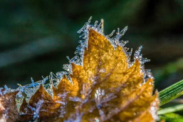 Foto: Eigenes Bild TB