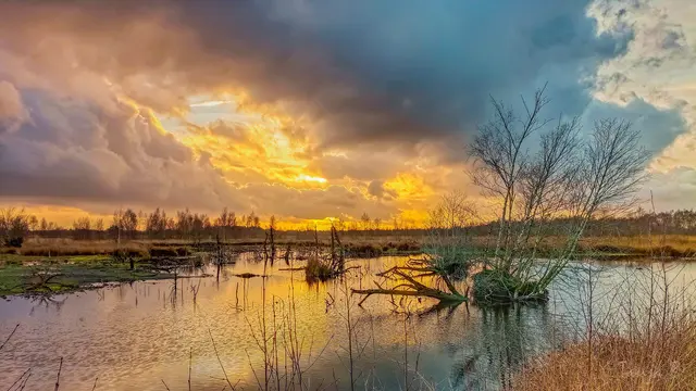 Foto: Eigenes Bild TB