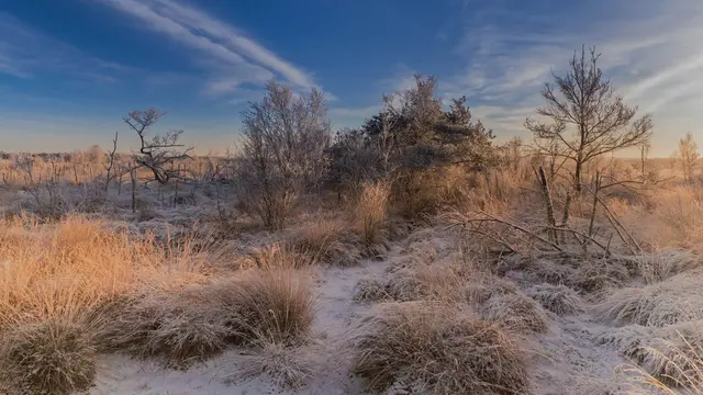 Foto: Eigenes Bild TB