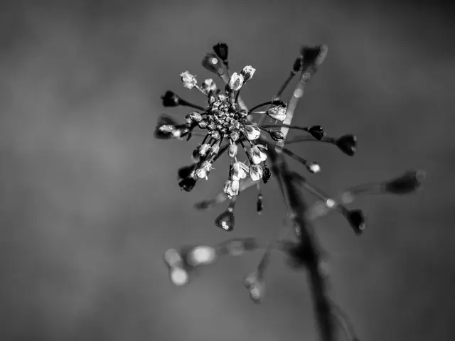 Foto: Eigenes Bild TB