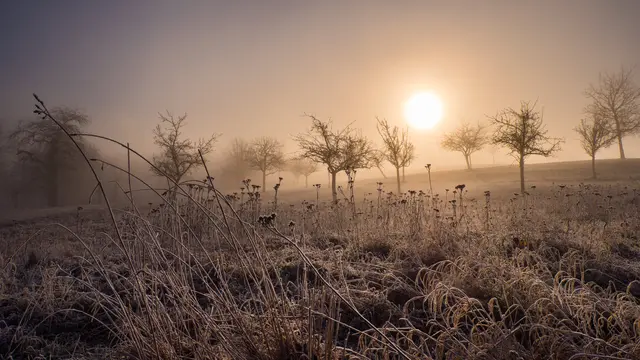 Foto: Eigenes Bild TB