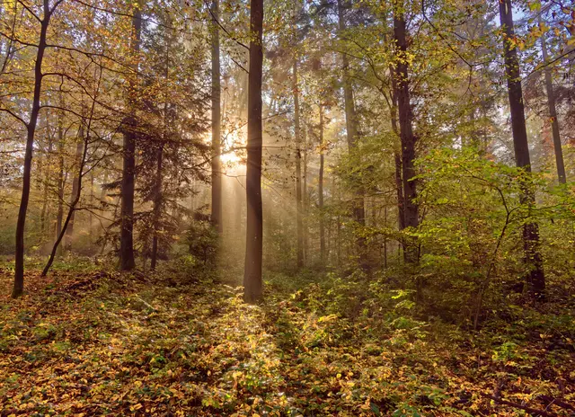 Foto: Eigenes Bild TB