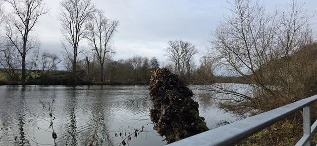Unterwegs auf dem Neckarradweg Richtung Heilbronn. | Foto: privat Sibylle Tröber
