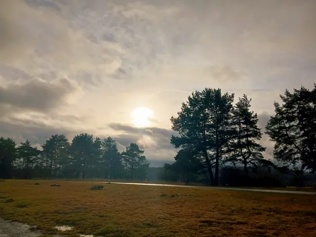 Die Sonne kommt durch die Wolken und zaubert ein schönes Licht.   | Foto: sigischlottke