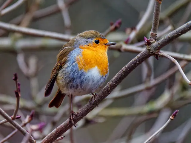 Foto: Eigenes Bild TB