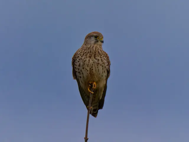 Foto: Eigenes Bild TB