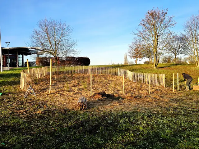 Foto: Heidrun Rosenberger