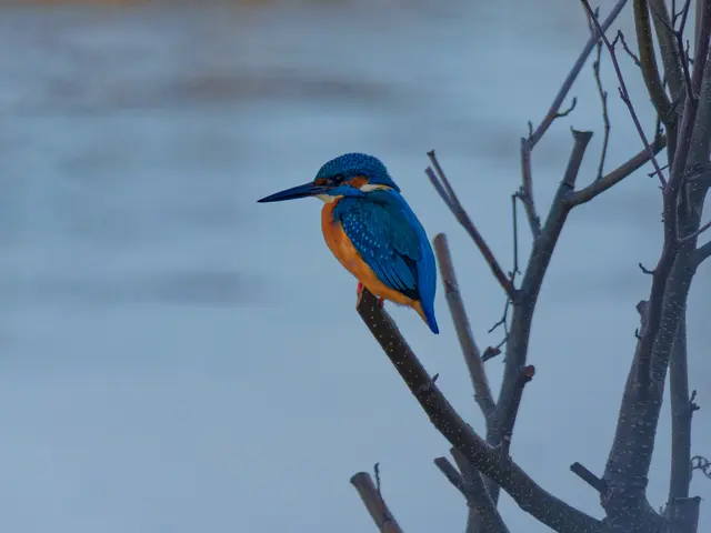 Foto: Eigenes Bild TB