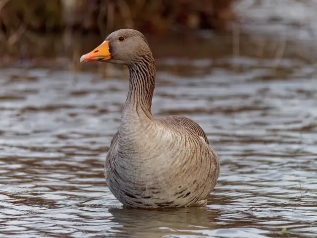 Foto: Eigenes Bild TB