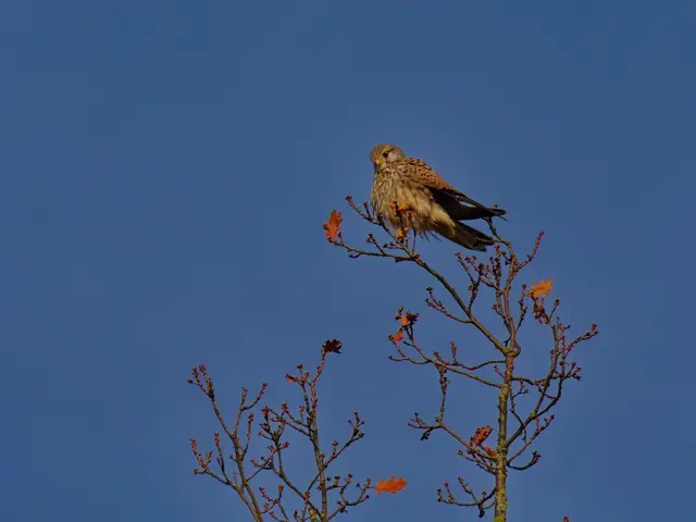 Foto: Eigenes Bild TB