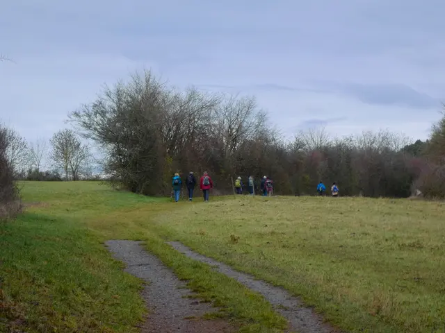 Hier führt uns der Weg entlang von Hecken, die die Wiesenränder säumen und die im Heckengäu so typisch sind.  | Foto: sigischlottke