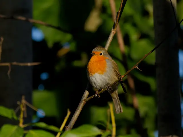 Foto: Eigenes Bild TB