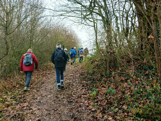 Herrlich,  endlich wieder zu wandern. Bei solch einem tollen Wetter im Dezember.  | Foto: sigischlottke