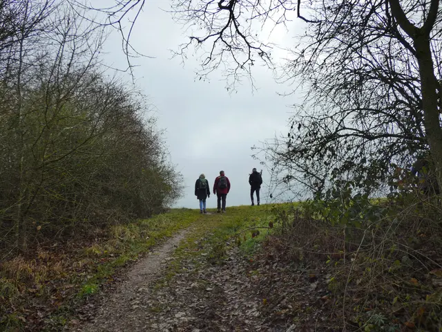 Auf naturbelassenen Wegen geht's den Buckel nuff. | Foto: sigischlottke