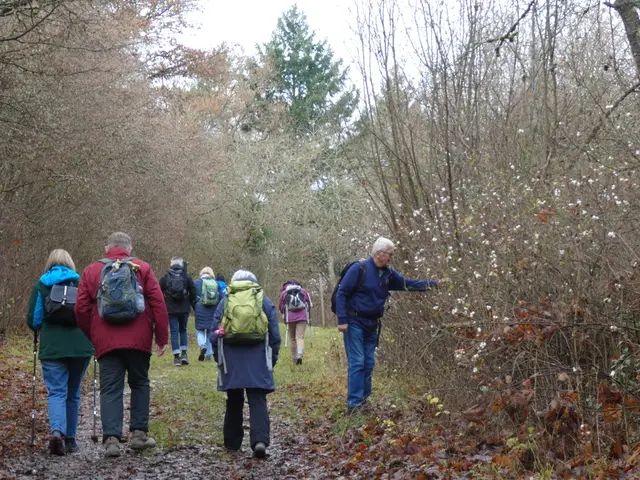 Eine ganze Hecke von "Knallerbsen" säumt unseren Weg. Muss man gleich mal ausprobieren.   | Foto: sigischlottke