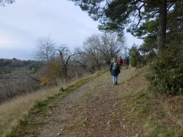 Nun geht's am Hang entlang, immer mit Aussicht.  | Foto: sigischlottke