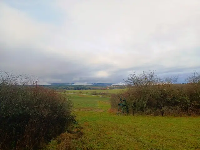 Die ersten schönen Aussichten über's Land.   | Foto: sigischlottke