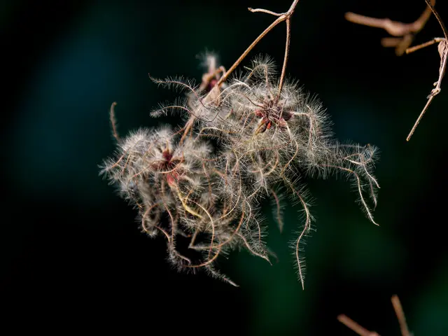 Foto: Eigenes Bild TB