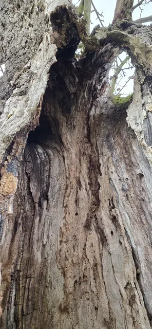 Natur. | Foto: privat Sibylle Tröber