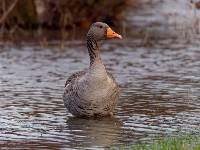 Foto: Eigenes Bild TB