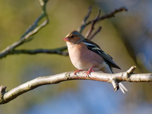 Foto: Eigenes Bild TB