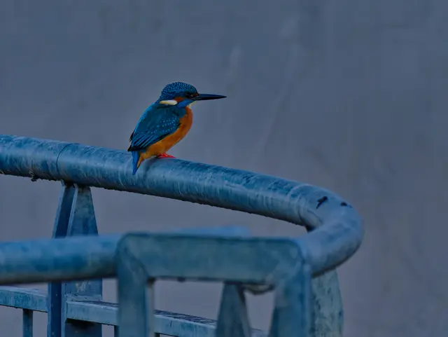 Foto: Eigenes Bild TB