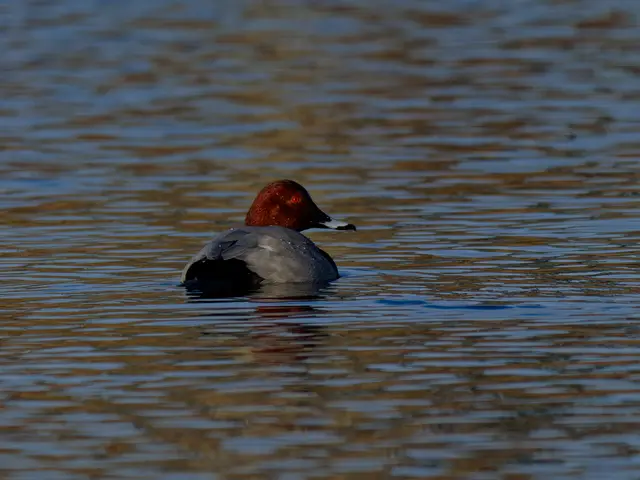 Foto: Eigenes Bild TB