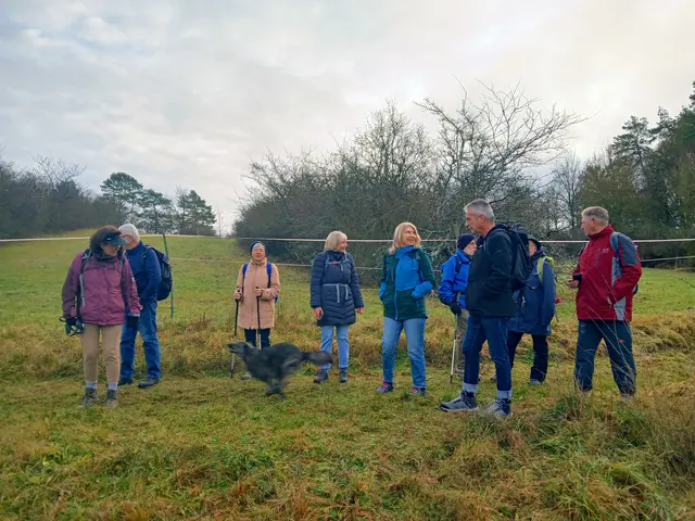 Und Vicky rast dabei wie angestochen und voller Übermut durch die Wiesen.   | Foto: sigischlottke