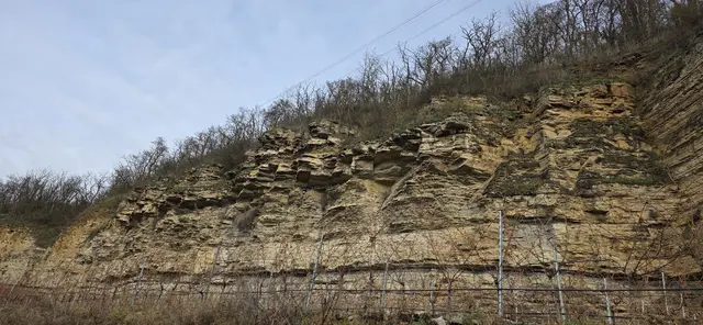 Unterwegs auf dem Neckarradweg Richtung Heilbronn. | Foto: privat Sibylle Tröber
