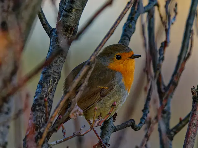 Foto: Eigenes Bild TB