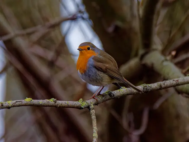 Foto: Eigenes Bild TB