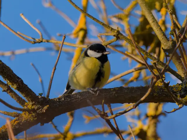 Foto: Eigenes Bild TB