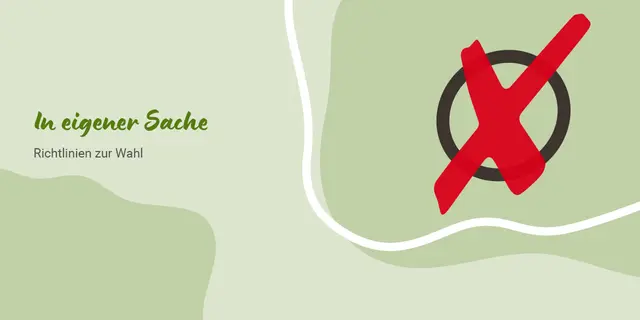 Vor den Landtagswahlen 2026 gelten Richtlinien für meine.stimme und die Zeitung.  | Foto: HSt-Grafik, Stockwerk-Fotodesign/stock.adobe.com