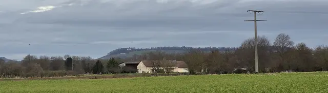 Blick zum Wartberg in Heilbronn. | Foto: privat Sibylle Tröber