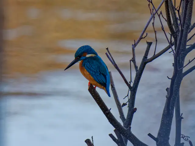 Foto: Eigenes Bild TB