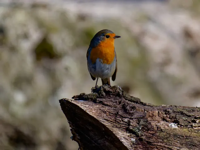 Foto: Eigenes Bild TB