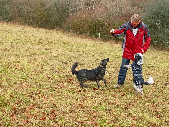 So wie hier versuchten die Hunde bei unserer Vesperpause einen Leckerbissen zu ergattern.   | Foto: sigischlottke