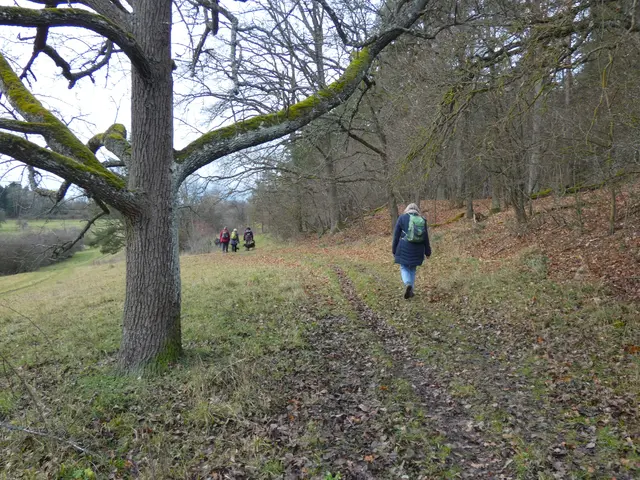 Herrlich hier zu wandern.  | Foto: sigischlottke