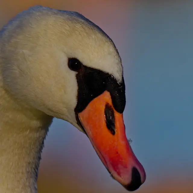 Foto: Eigenes Bild TB