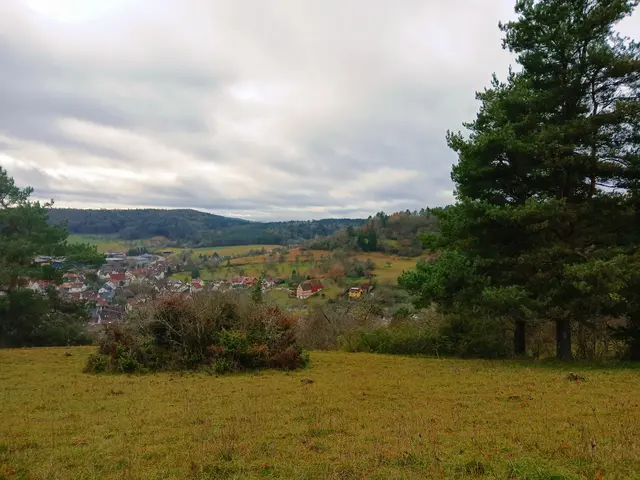 Ein paar Meter von unserem Vesperplatz entfernt konnte man schon weit schauen.  Un der Ferne ist der Schwarzwald zu sehen.   | Foto: sigischlottke