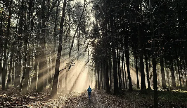 Dezembersonne | Foto: Heinz Lindheimer