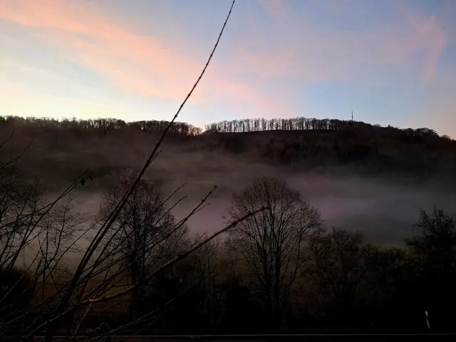 mystische Stimmung | Foto: Ralf Röser