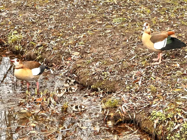 Foto: Heide Böllinger aus Bad Friedrichshall