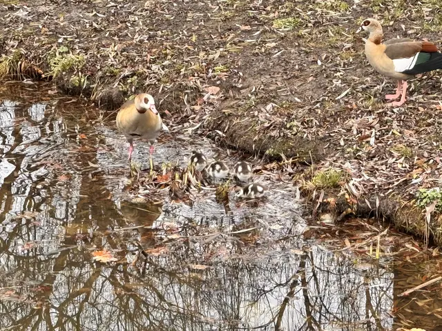 Foto: Heide Böllinger aus Bad Friedrichshall