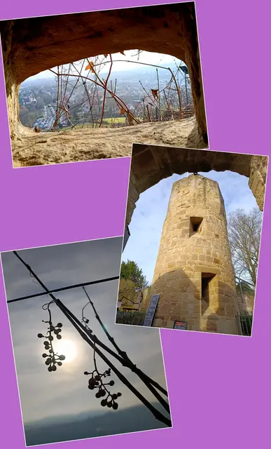 Handy-Collage mit Impressionen auf der Burg | Foto: Aurelia Kling