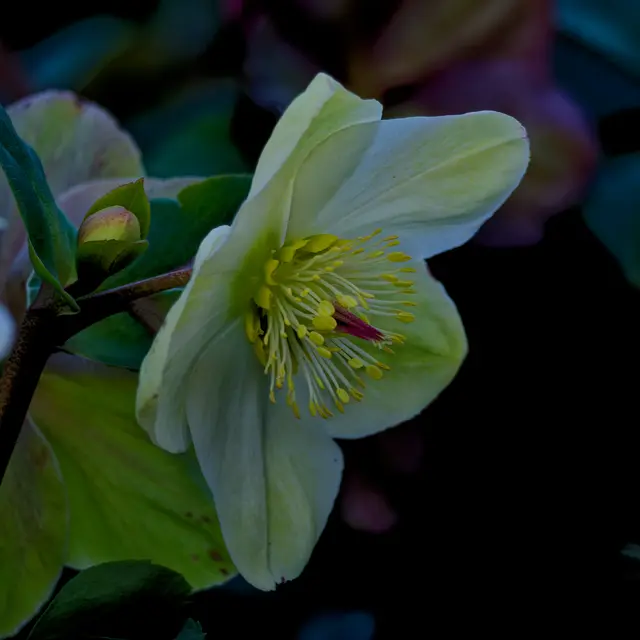 Foto: Eigenes Bild TB