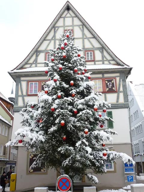 2010 in Künzelsau.  | Foto: HSt-Archiv